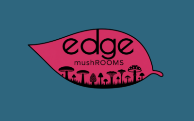 edge Mushrooms